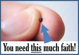 photo of a mustard seed